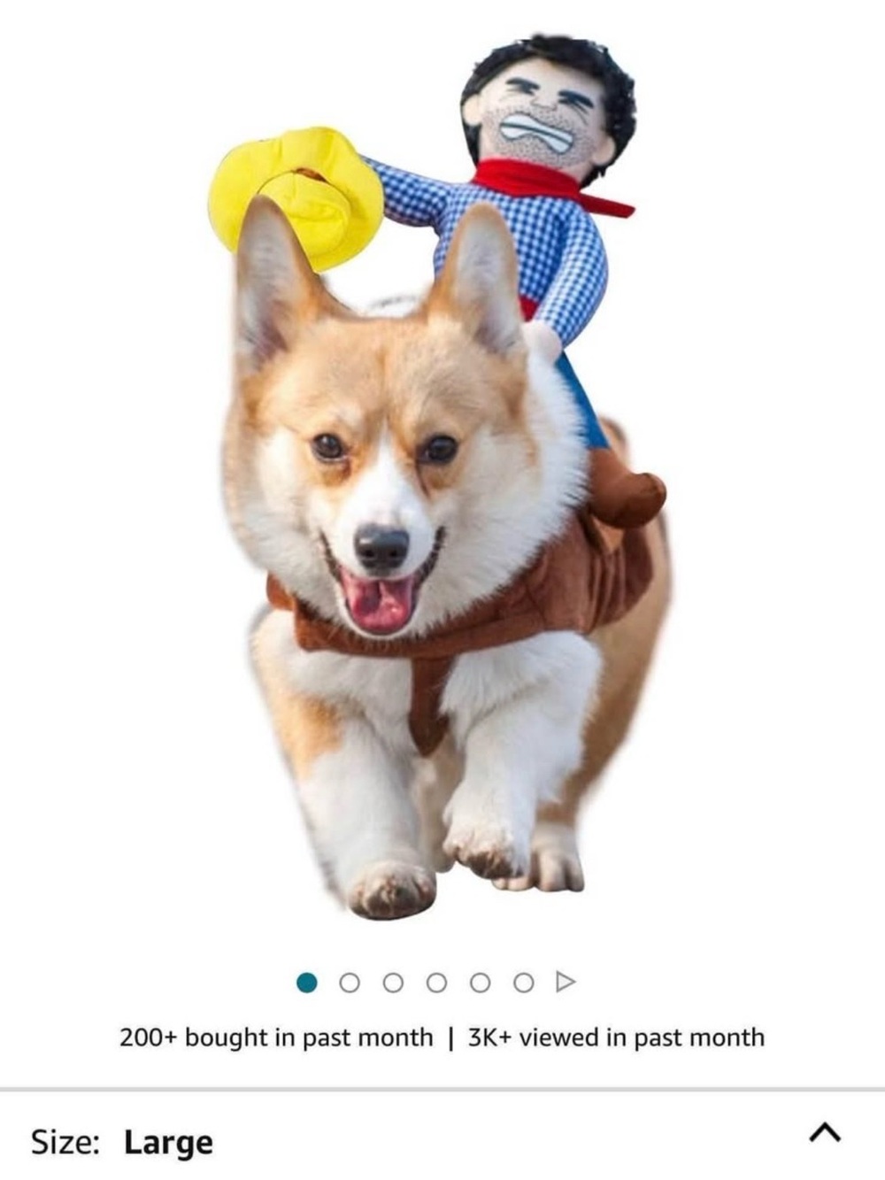 Cowboy rider dog costume. New with tags. Size large